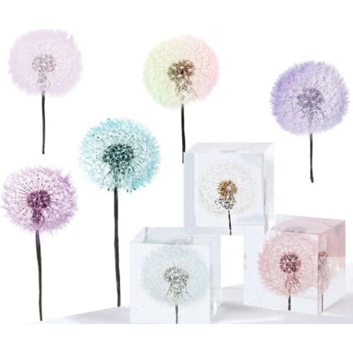 2 Pcs Crystal Epoxy Filler Dandelion Dry Flower Resin Mold Filling Material for DIY Crafts Art Jewelry Making
