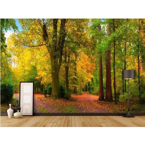 Custom photo designs 3d wall murals wallpaper picture The forest park painting decor 3d wall murals wallpapers for living room