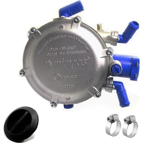 Mimgas Brain Carburetor Regulator 461007950