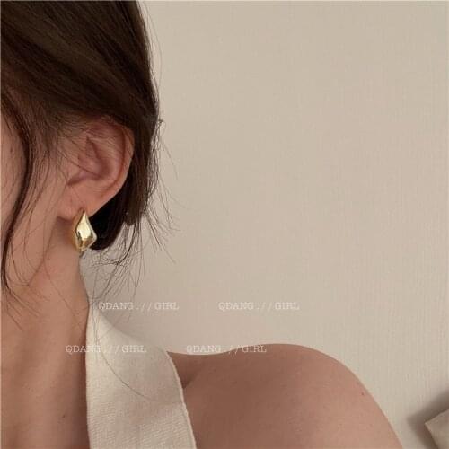 French Retro Design INS Drop Metal Earrings Cold Wind Earrings Exquisite And Versatile Temperament Metal Wind