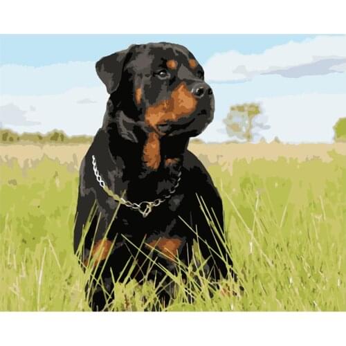 Painting By Number DIY Dropshipping big size Grassland cute black dog Animal Canvas Room Decoration Art picture Child Gift