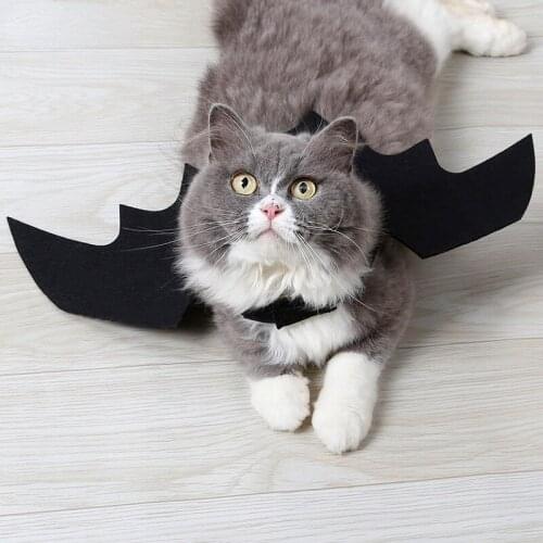 Halloween Costume Wings Pet Cat Clothes Bat Dog Black Bat Costume