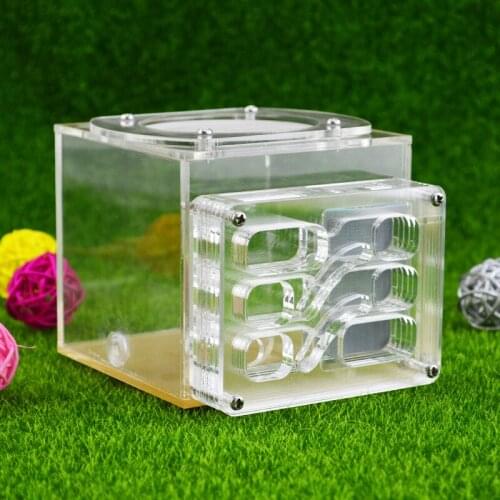 Pet Ant Nest Acrylic Backyard New Moisturizing Nest Ant Breeding and Breeding Ants Farm House