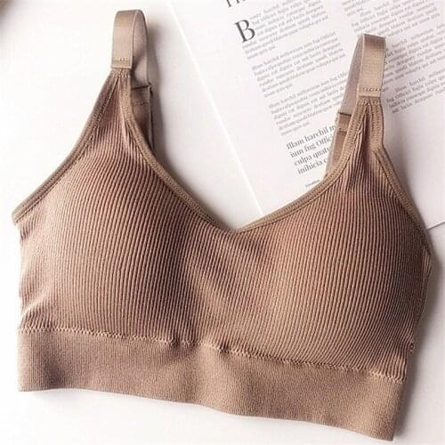 Japanese Ribbed Bra with Breast and Back, Light Proof, Adjustable Straps, No Underwire Sports Bra for Ladies