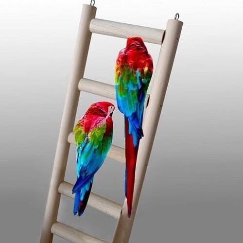New Wooden Ladder Parrot Bird Pet Budgie Rodent Hamster Mouse Gerbil Cage Toys