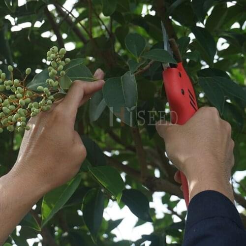 CE Lithium battery power pruner electric scissors secateurs