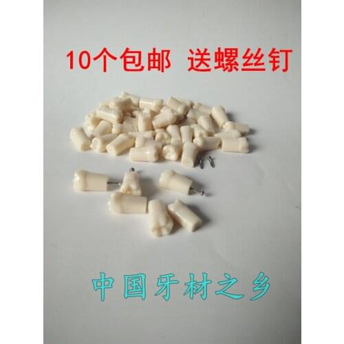 Dental materials Resin Dentist practice extracted tooth model Full mouth teeth 28pcs free shipping