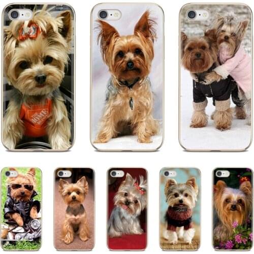Starry Night Phone Cases LG Q7