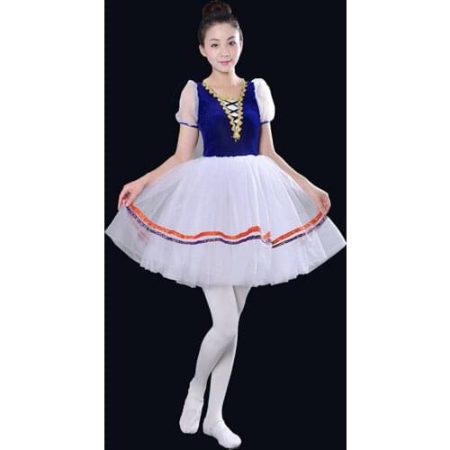 Blue ballet skirt Adult Costume Chorus Costume Stage skirt children Princess Dress Short sleeve Fluffy skirt