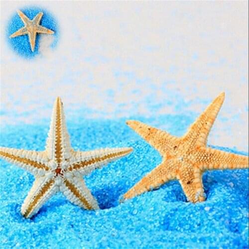 100Pcs Craft DIY Making Shell Cute Small Mini Starfish Beach Decor Lot Sea Star