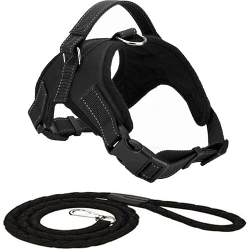 Dog Harness and Leash Set Soft Nylon Adjustable Car Harness No Pull for Small Medium and Large Dogs 1.5m Walking Lead