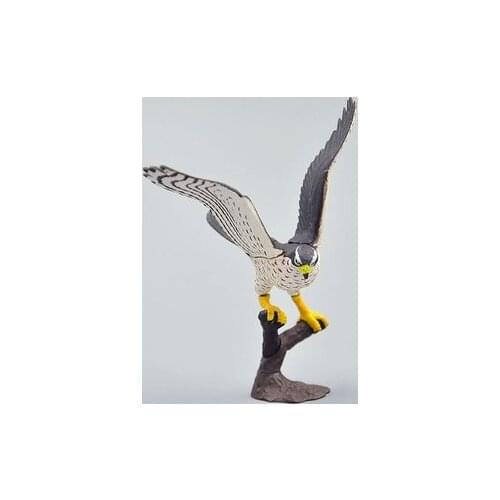 Pvc figure Japanese assemble animal model bird toy model goshawk