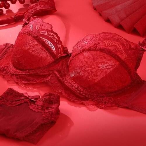 Red Transparent Brassiere Sexy Underwear Set Lace Push Up Bra And Panty Sets Plus Size Women Bras Lingerie Big Cup A B C D E