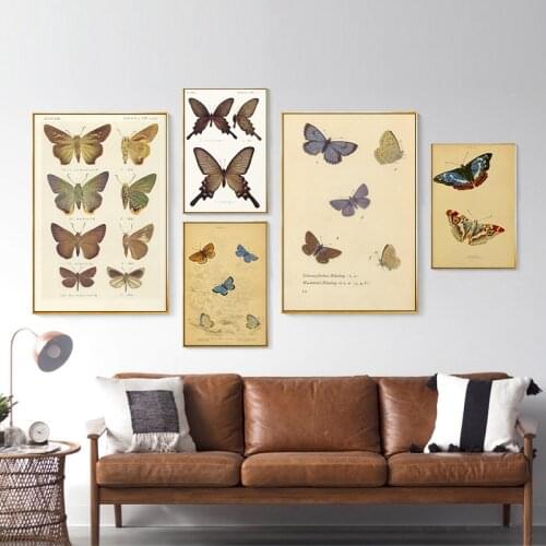 Butterfly Vintage Posters and Prints Insect Biology Educational Chart Kitchen Wall Art Picture Canvas Painting Home Decor