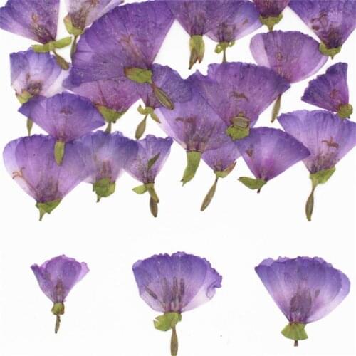 Side Pressure Ancient Rare Dried Flower Embossed Mobile Phone Case DIY Frame Material