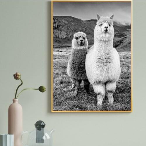 Alpaca Poster Canvas Art Painting Animal Prints Wall Art Decorative Picture Llama Black and White Wall Kids Room Decor Cuadros