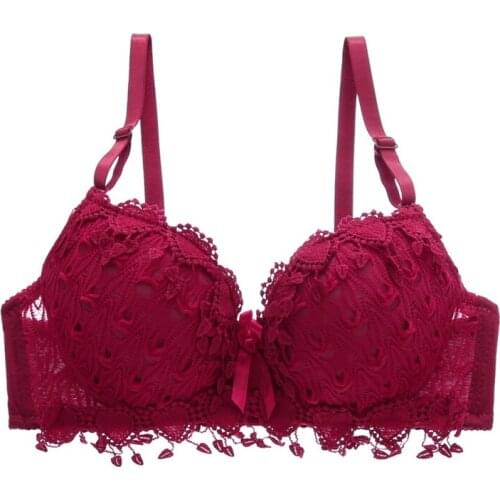 Women Underwear Push up Bra Brasier Mujer Sexy Lace Bra Embroidery Tassel Sexy Lingerie Brassiere Padded Underwire Polyester Bow