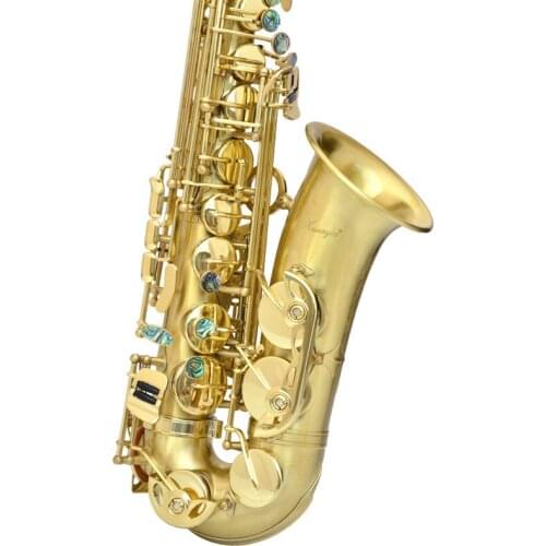 Anodic Brush Finished Alto Instrument Accessories China Sax Professional Eb Saxophone Alto