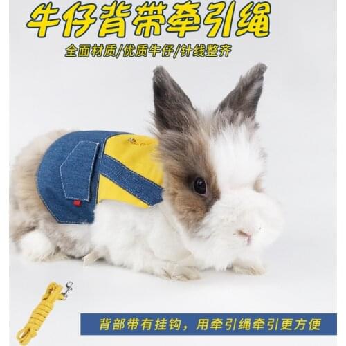 Pet Bunny Clothes Leash Bunny Kitten Cat Cat Lop-eared Rabbit Decoration Costume Traveling to take pictures