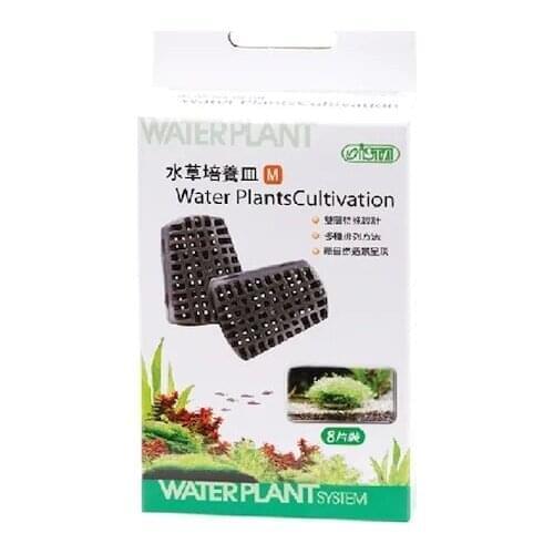 Ista Moss Base Medium Size 8 Pcs 400048655