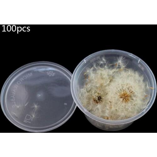 100Pc Natural Dandelion Seed Small Glass Ball Fillings Resin Wish Jewelry Making