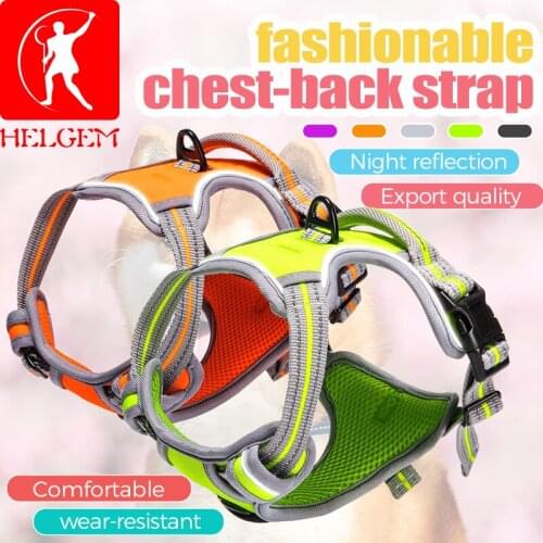 Fenice Fashionable Chest-back Strap Colorful Pet Supplies Dog Harness
