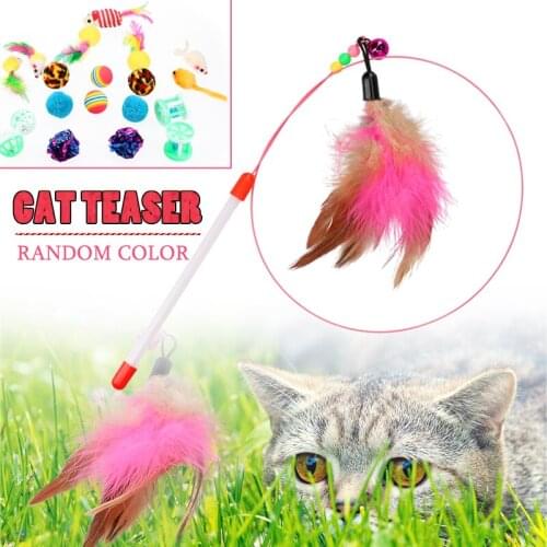 20pcs Pet Cat Training Toys Set Angel Feather Mouse Balls Random Color Combination Cat Feathers Roll Cylinders Toys