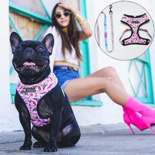 Mesh Breathable Puppy Dog Harness and Leash Set Walking Pet Vest Harnesses for Small Medium Dogs Bulldog Terrier Accessories