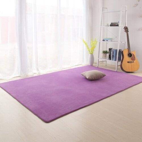 Zeegle Coral Fleece Large Carpet For Living Room Skin-friendly Child Room Rug Anti-slip Bedroom Carpets Home Decor Floor Mats