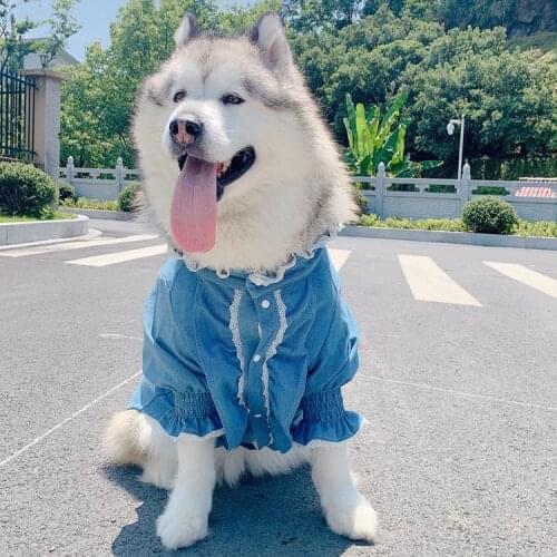 Meduim Large Dog Clothes Jeans Pet Coat Jacket Fashion Princess Dogs Pets Clothing for Dogs Shirt Pug Labrador Golden Retriver