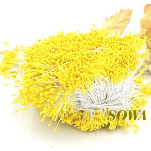 Free Shipping 1mm 900pcs/Lot Double Heads Blue Color Flower Pearl Stamen Cake Decoration Craft DIY