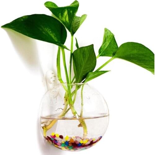 Pot Plant Wall Hanging Fish Bowl Aquarium Tank Aquatic Pet Supplies Pet Products Wall Mount Fish Tank Home Decoration