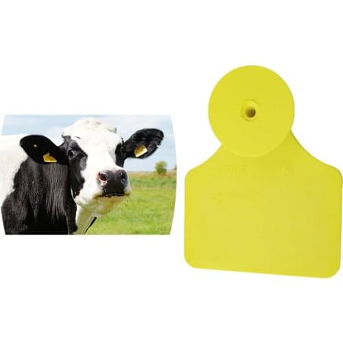 Best quality x10pairs RFID Passive tag Read/Write UHF 860-960MHz animal ear tag for cow livestock identification