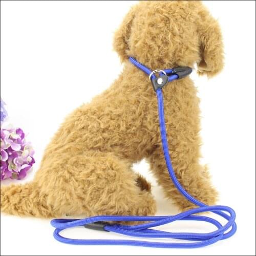 Adjustable Nylon Leash Dog Leash Rope Training Rope Suitable for Small and Medium Large Dogs Pet Supplies Traction Rope Pet