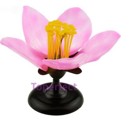 Detachable Giant Dicot Flower Peach Blossom Flower Anatomy Model Plant Anatomical Model Biology Teaching Experiment Equipment