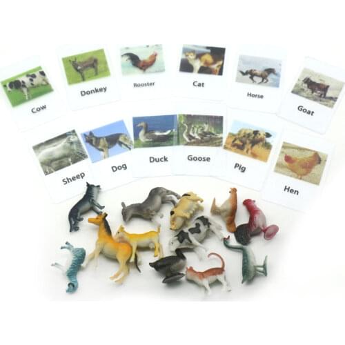 Montessori Language Material Zodiac Cards Preschool Educational Learning Toys For Kids Juguetes Brinquedos MJ1344H