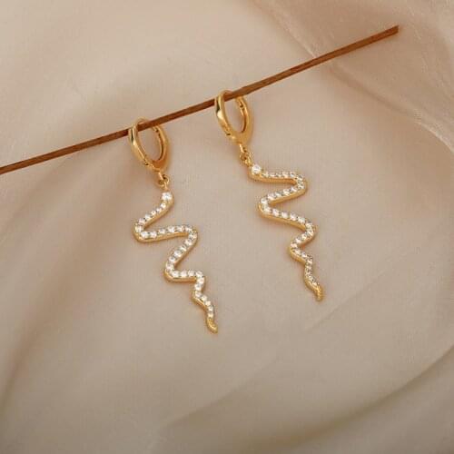 Delicate Zirconia Earrings For Women Hip Hop Gothic Kpop Sparkling Snake Baroque Style Bijoux Femme Antique Charm Jewelry Gifts