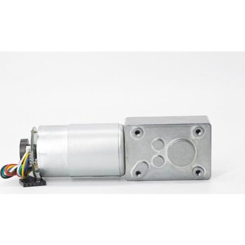 Dc Motor 12V 24V DC Motor With Hall Encoder Worm Gear Motor High Torque 6-150rpm