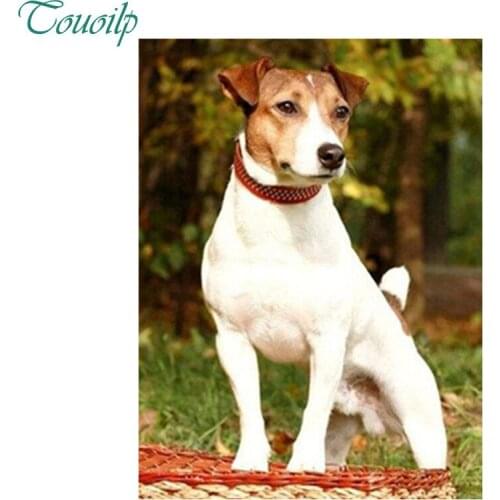 Full Diamond Embroidery,Animal Jack Russell Terrier Dog,5Diamond Painting,Cross Stitch,Diamond Mosaic,Needlework,Christmas art