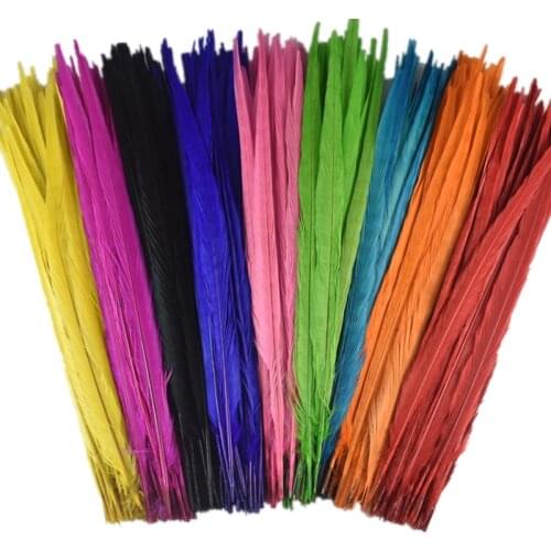 50-55cm 20-22" Ringneck Pheasant Tail Feathers for Crafts Colored Carnaval Assesoires Decorative Natural Pheasant Feather Decor