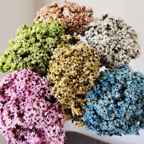 40g/35cm,1cm head,Nature Fresh Dried mini feverfew,Eternelle Daisy Flower Bouquet for Wedding Party Home Decoration Accessories