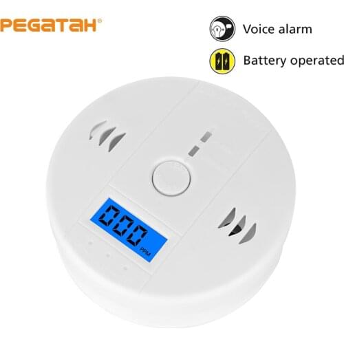 Securexpert Carbon Monoxide Detectors