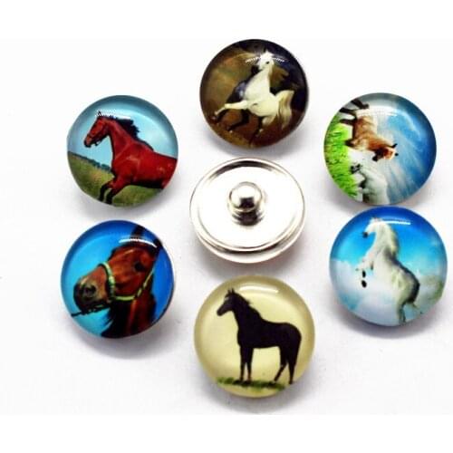 Hot selling 12pcs/lot glass animal 18mm snap buttons horse leather clasp snap button bracelet snap Bangles jewelry