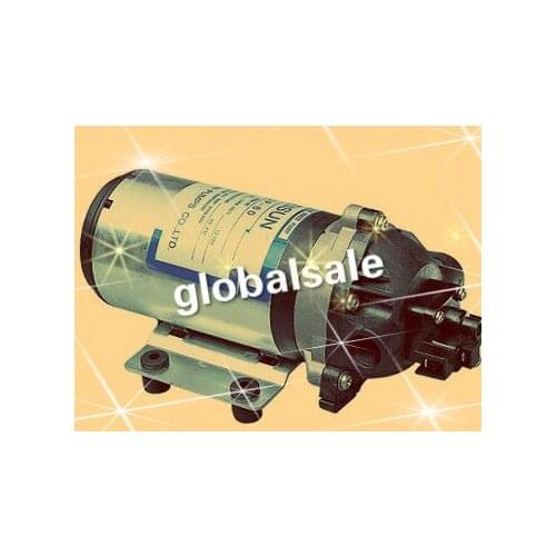 DP-60 CE Approved Diaphragm Pump DC 24V Use for Chemical Metering House Clean Spray equipment Mini Water Pumps