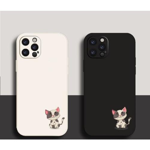 IPhone 12 Pro Muroo China