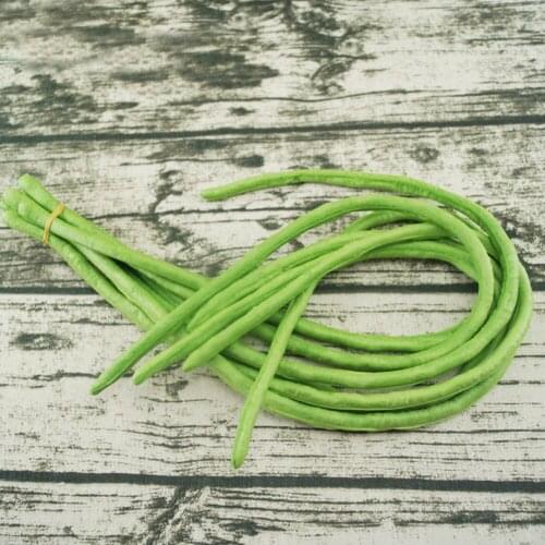 6pcs High imitation artificial Fake long bean model&artificial plastic fake simulated long bean vegetable