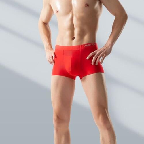 YILINHAN Men's Briefs-shorts