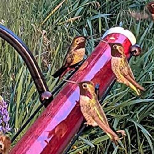 Long Tube Hummingbird Bird Feeder With Hole Red Transparent Tube Hanging Long Tube Red Bird Feeder Hummingbird Bird Feeder