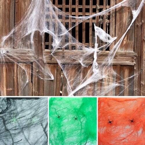 Spider Web Halloween Decor with Fake Spider Haunted Cute Suitable for Indoor and Outdoor Halloween Decoration TS1