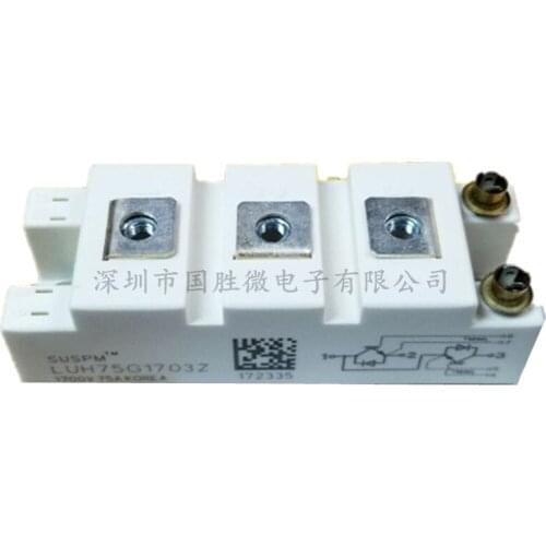 LUH75G1703Z LUH100G604 Original, Can Provide Test, 1 Year Warranty